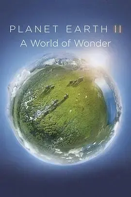 地球脉动2：奇迹世界 海报