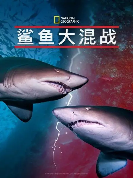 《鲨鱼大混战》：当海洋霸主遇上人类萌娃，爆笑冒险即刻启程！| 动画影评