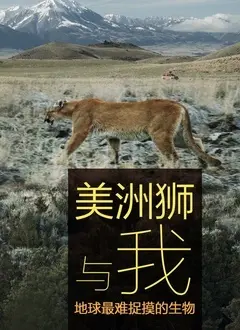 《美洲狮与我》：一场人与自然的温柔邂逅，野生动物纪录片里的治愈诗篇