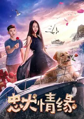 《忠犬情缘》：跨越生死、治愈心灵的温情奇迹，人狗羁绊的感人史诗