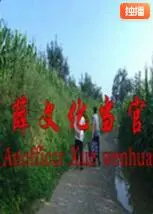 《薛文化当官记》：笑料百出，官场浮沉，一段啼笑皆非的“奇幻冒险”！