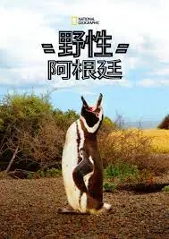 《国家地理 野性阿根廷》：探索南美大陆的狂野脉搏，一场视觉与心灵的震撼之旅